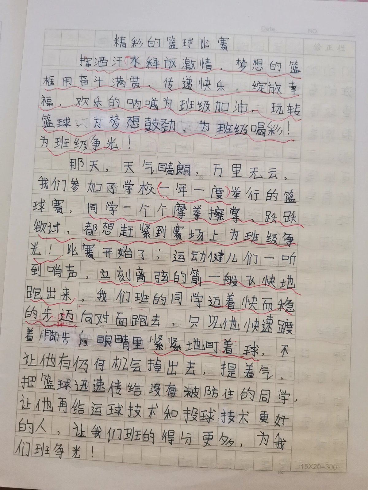 篮球训练收获及感想作文素材怎么写